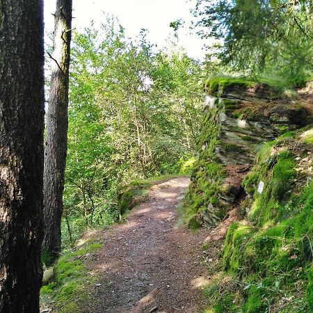 Fewo Well Gladenbach Εξωτερικό φωτογραφία