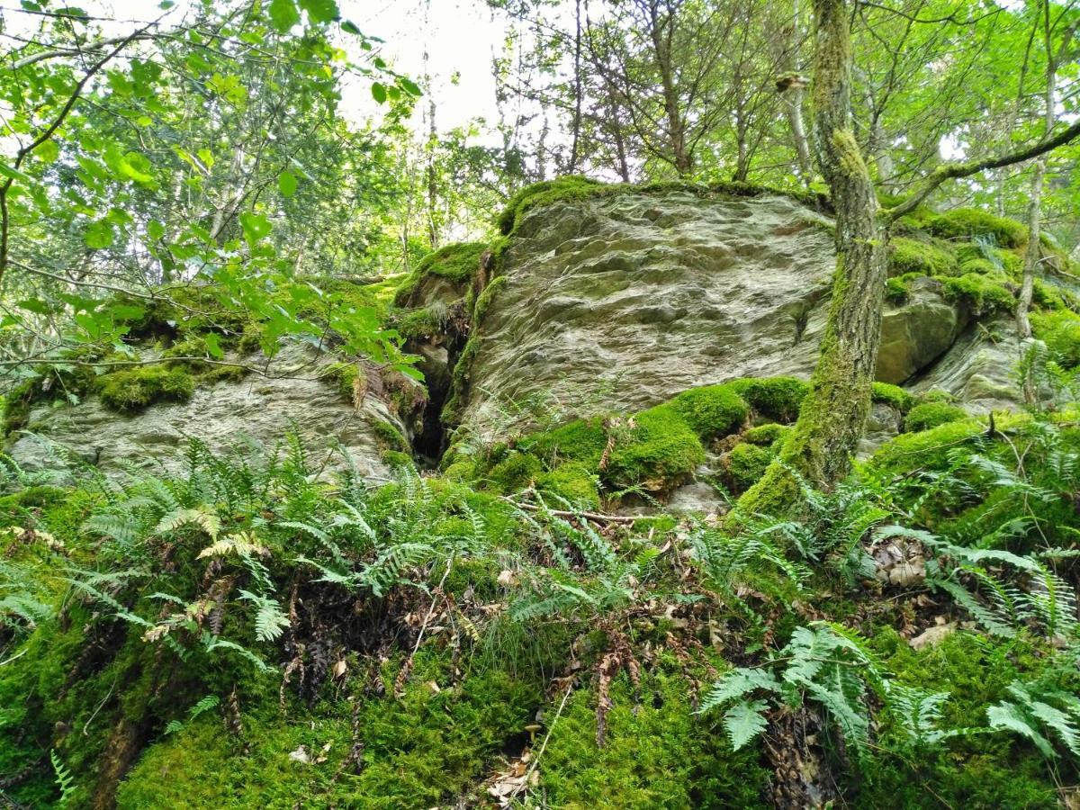 Fewo Well Gladenbach Εξωτερικό φωτογραφία